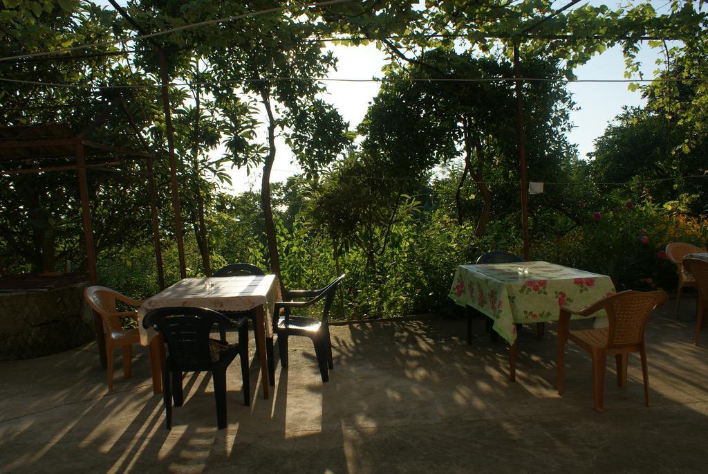 Merabi And Neli Guest House Makhinjauri Habitación foto