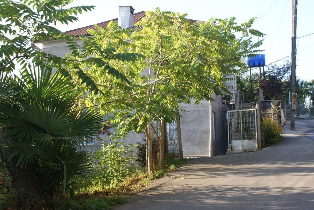Merabi And Neli Guest House Makhinjauri Exterior foto